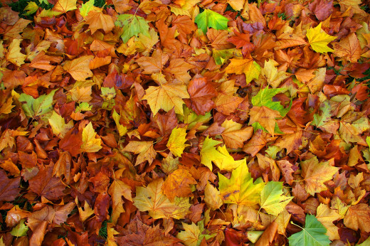 831268 (a): :2560x1702